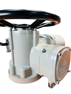 ODM Electric Multi Turn Actuator 0.75 KW With Torque Protection