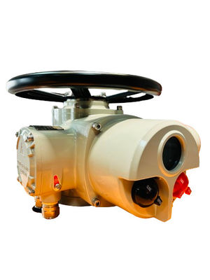 50 NM Mini Electric Actuator Multi Turn Custom Anti Humidity