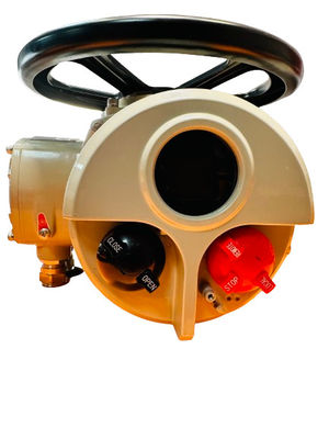 Custom Electric Multi Turn Actuator Steel Remote Control 100NM IP67